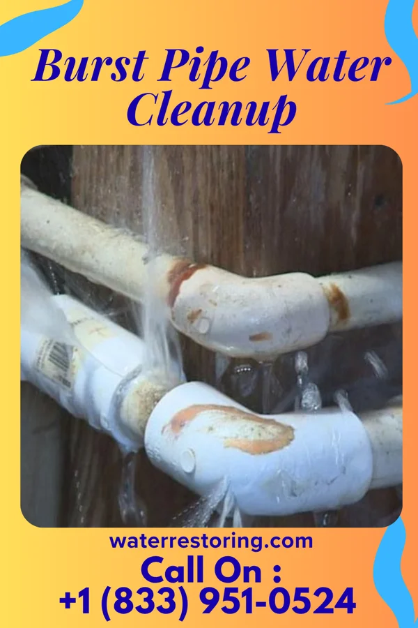 Burst Pipe Water Cleanup in Bernard, IA